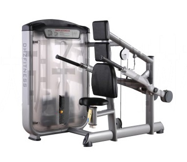 Seated Triceps Press